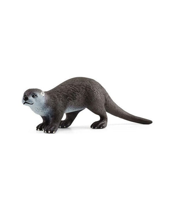 WILD LIFE - LOUTRE