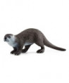 WILD LIFE - LOUTRE