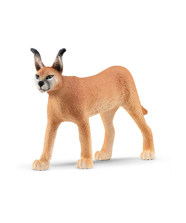 WILD LIFE - FEMELLE CARACAL