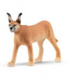 WILD LIFE - FEMELLE CARACAL