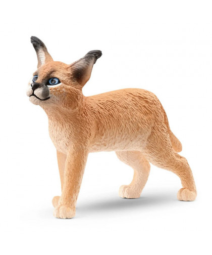 WILD LIFE - JEUNE CARACAL