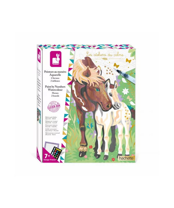 PEINTURE AU NUMERO AQUARELLE CHEVAUX