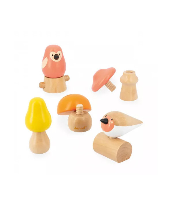 OISEAUX & CHAMPIGNONS A VISSER