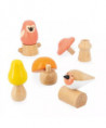 OISEAUX & CHAMPIGNONS A VISSER