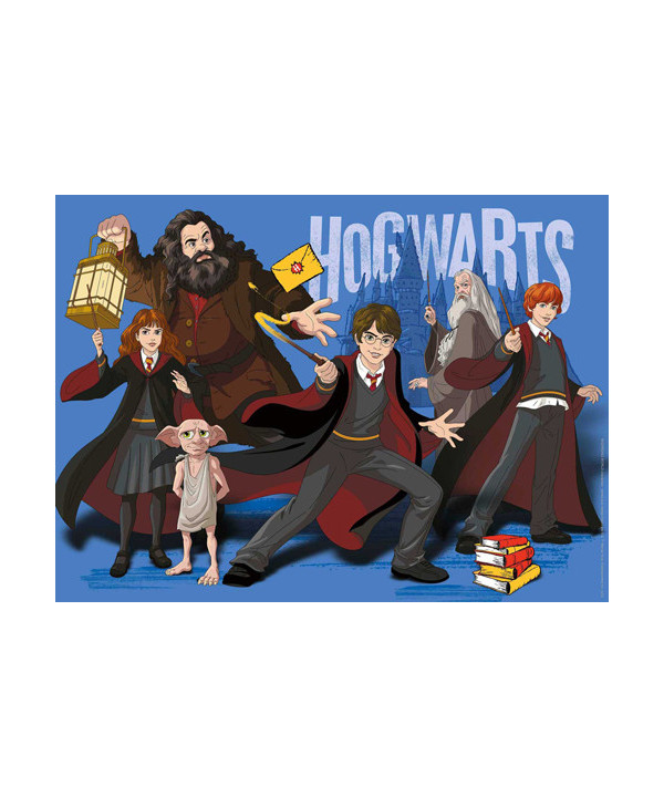 PUZZLE 300 PCS - HP: HARRY POTTER À L'ÉCOLE DE MAGIE DE