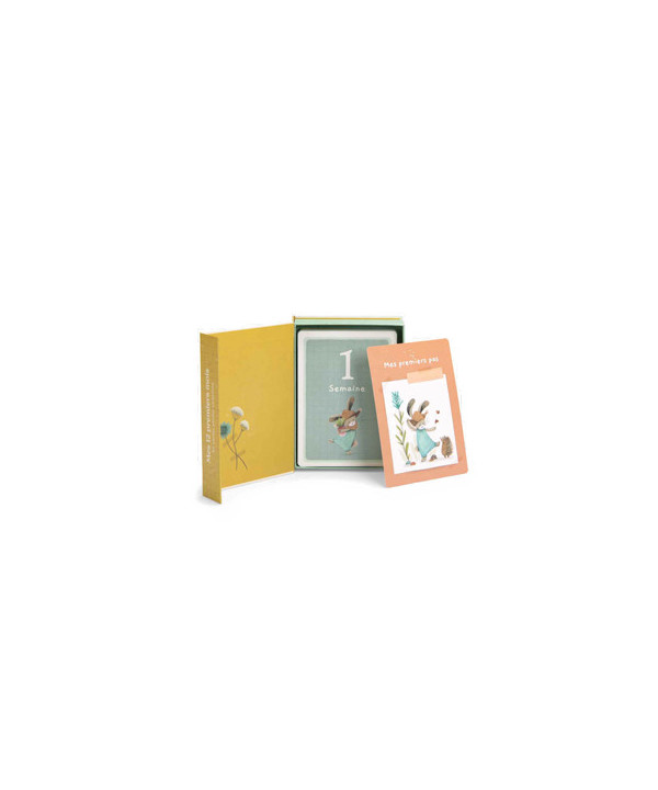 CARTES MES 12 PREMIERS MOIS TROIS PETITS LAPINS
