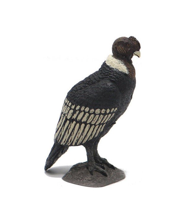 LA VIE SAUVAGE - CONDOR