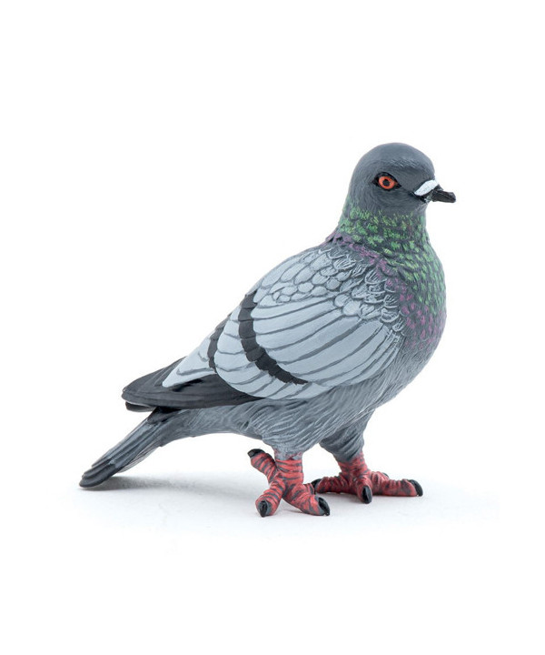 LES ANIMAUX DES JARDINS - PIGEON