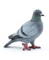 LES ANIMAUX DES JARDINS - PIGEON