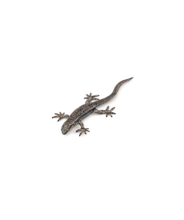 LES ANIMAUX DES JARDINS - LÉZARD COMMUN