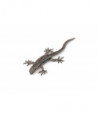 LES ANIMAUX DES JARDINS - LÉZARD COMMUN