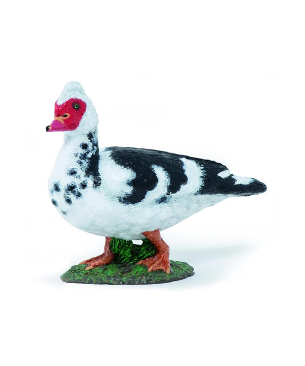 LA VIE A LA FERME - CANARD DE BARBARIE