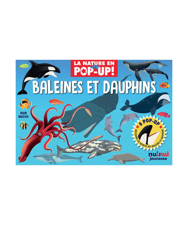LA NATURE EN POP-UP - BALEINES ET DAUPHINS