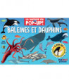 LA NATURE EN POP-UP - BALEINES ET DAUPHINS