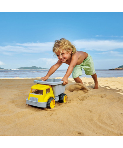 LOAD & TOTE DUMP TRUCK