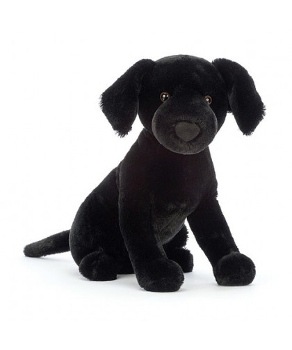PIPPA BLACK LABRADOR
