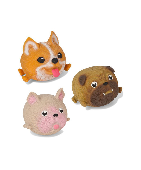 POCKET MONEY FUN - SQUIDGY POOCH