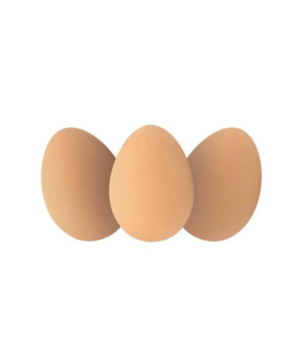 POCKET MONEY FUN - EGG JETBALLS IN DISPLAY BOX