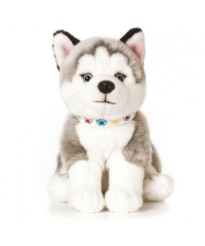 LIVING NATURE DOGS - GIANT HUSKY PUPPY