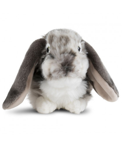 LIVING NATURE SMALL PETS - DUTCH LOP EARED RABBIT
