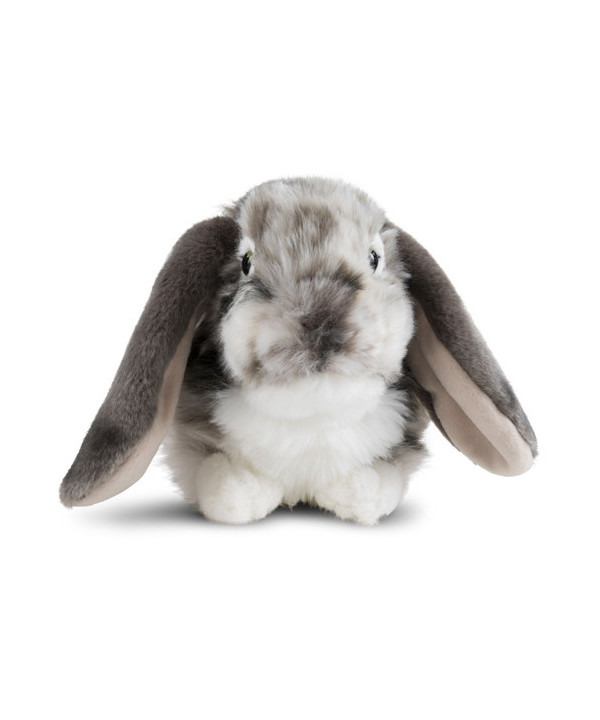 LIVING NATURE SMALL PETS - DUTCH LOP EARED RABBIT