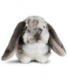 LIVING NATURE SMALL PETS - DUTCH LOP EARED RABBIT