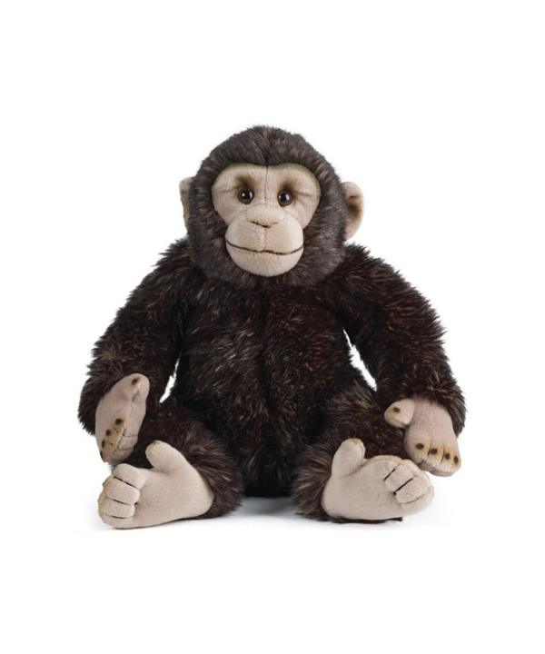 LIVING NATURE JUNGLE - CHIMP
