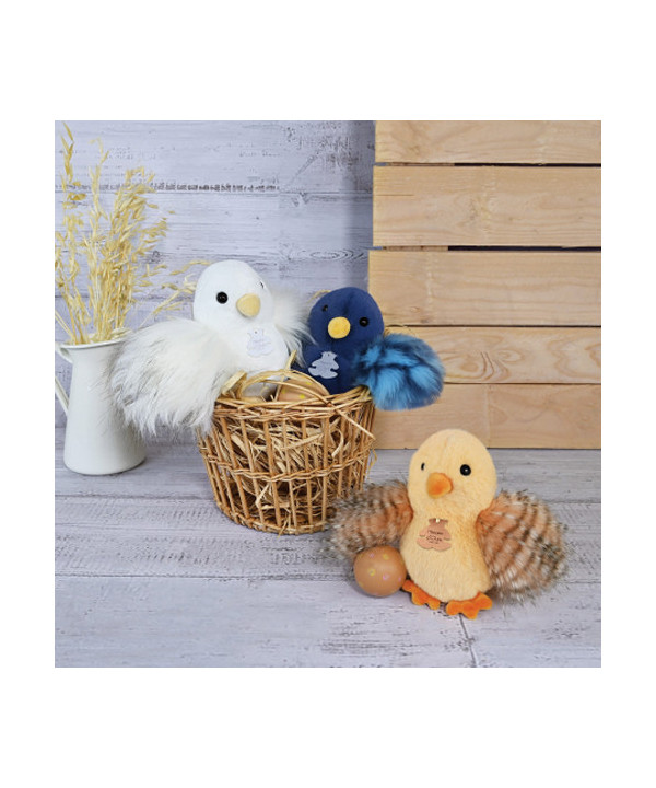 DISPLAY POUSSINS ASSORTIS