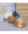 DISPLAY POUSSINS ASSORTIS