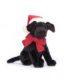 WINTER WARMER PIPPA BLACK LABRADOR