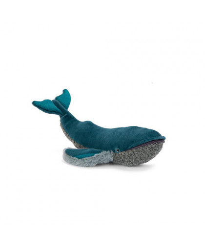 PETITE BALEINE À BOSSE TOUT AUTOUR DU MONDE