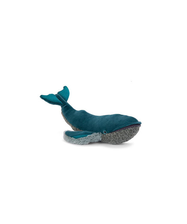 PETITE BALEINE À BOSSE TOUT AUTOUR DU MONDE