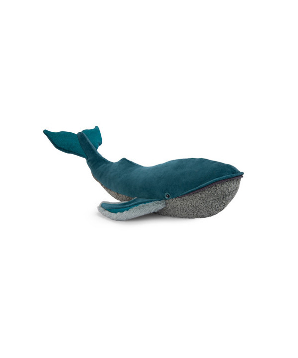 GRANDE BALEINE À BOSSE TOUT AUTOUR DU MONDE