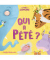 QUI A PETE ?