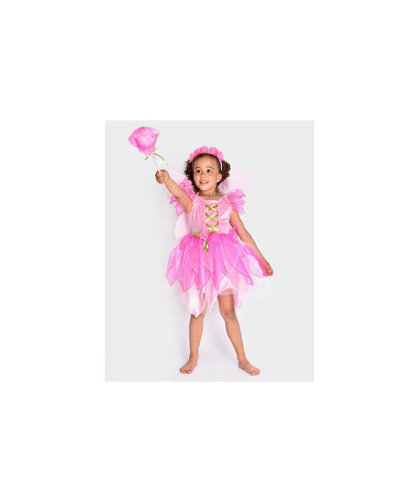 FAIRY DRESS+WINGS+DIADEM+WAND