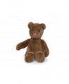 GRAND OURS MARRON ARTHUR ET LOUISON
