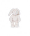 LAPIN CRÈME ARTHUR ET LOUISON