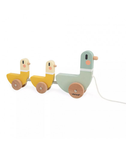 SWC - CANARDS A TIRER