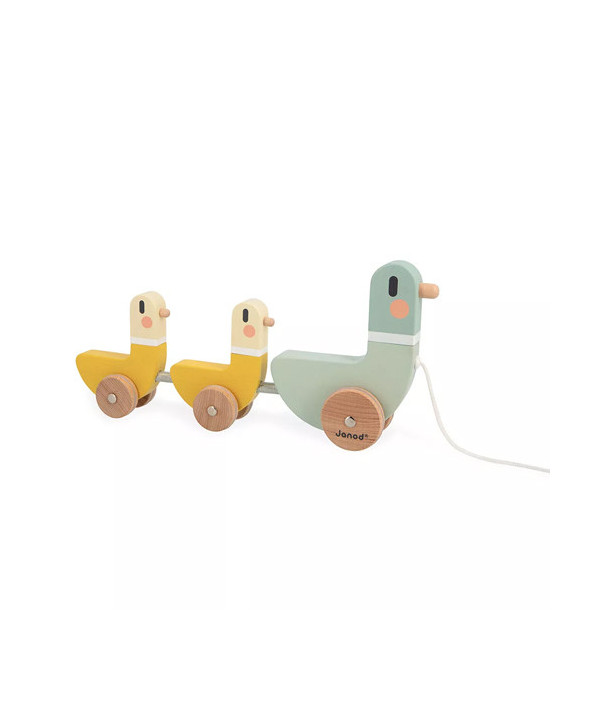 SWC - CANARDS A TIRER