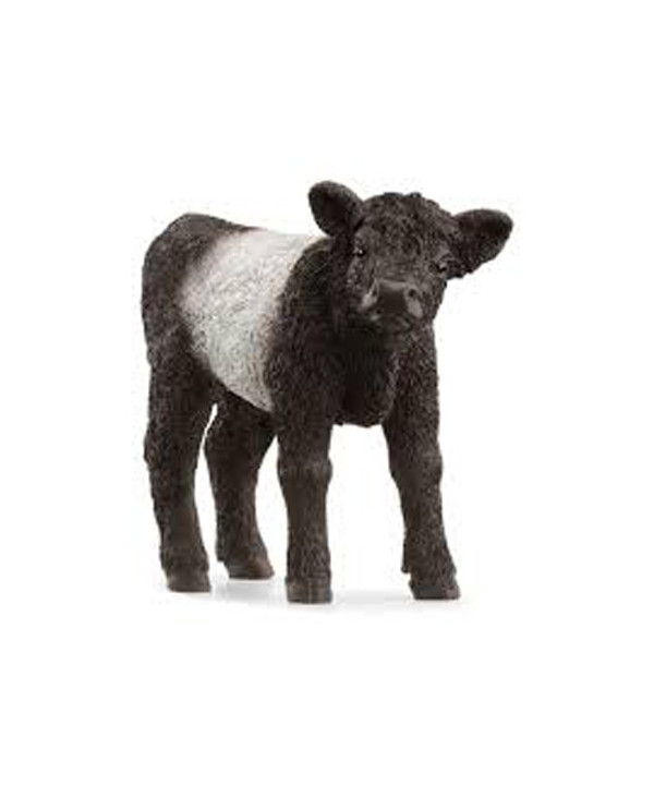 FARM WORLD - VEAU GALLOWAY