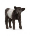 FARM WORLD - VEAU GALLOWAY