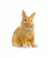 FARM WORLD - LAPIN LIONHEAD