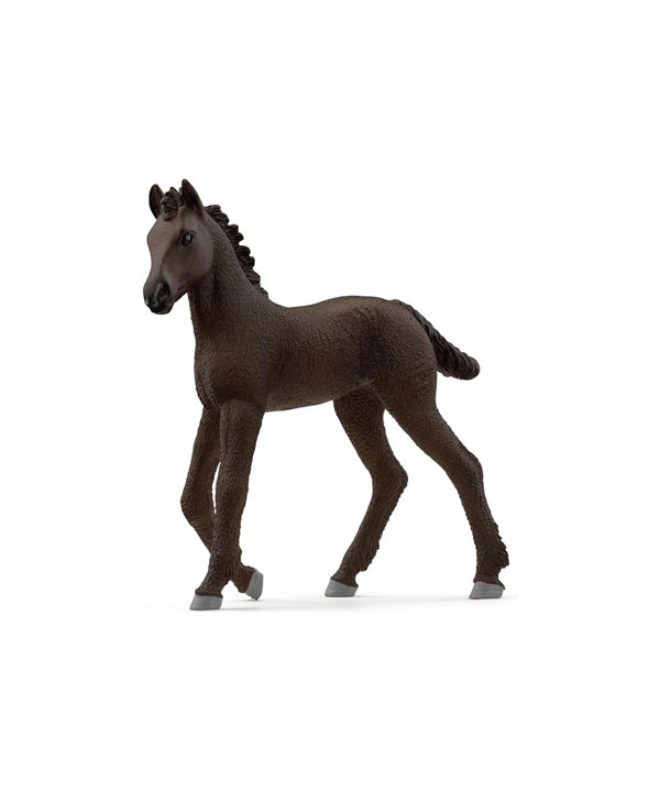 HORSE CLUB - POULAIN FRISON
