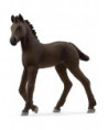 HORSE CLUB - POULAIN FRISON