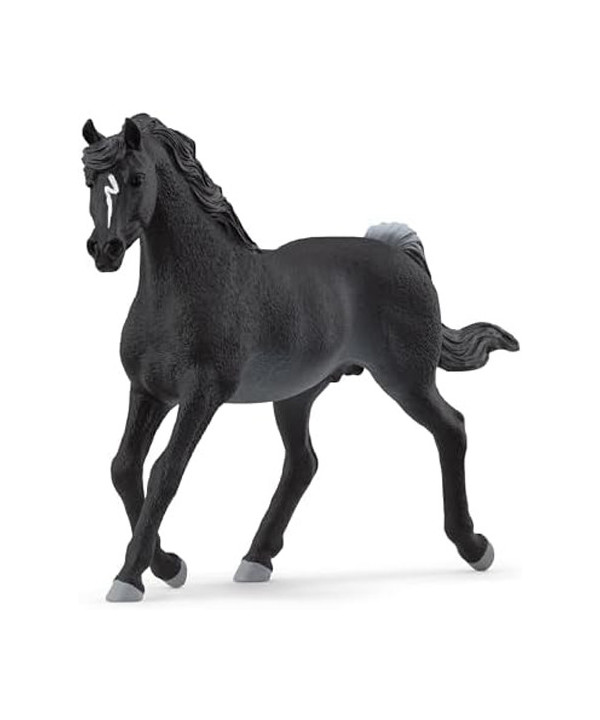 HORSE CLUB - ÉTALON ARABE