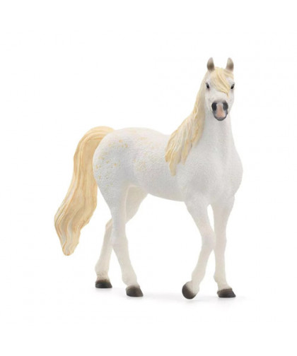 HORSE CLUB - JUMENT ARABE