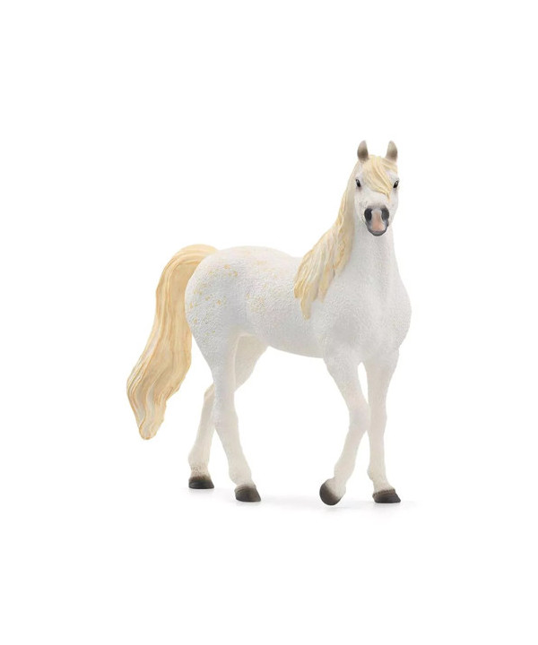 HORSE CLUB - JUMENT ARABE