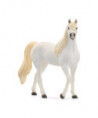 HORSE CLUB - JUMENT ARABE