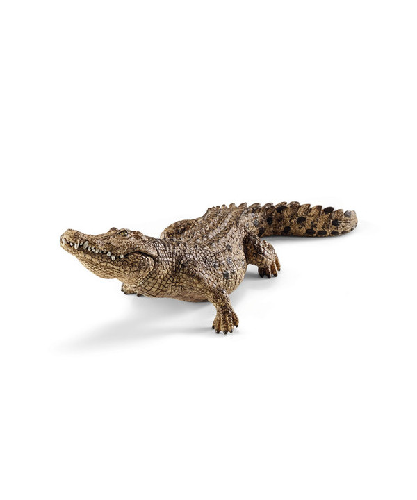 WILD LIFE - CROCODILE