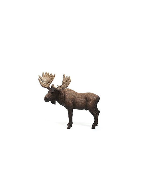 WILD LIFE - ÉLAN. MÂLE